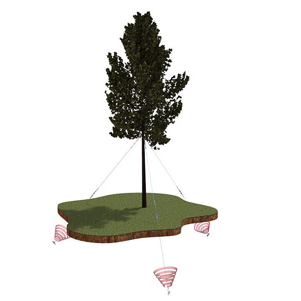 Tree-Guy-Kit-square